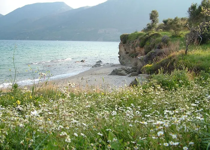 Thalis Appartement *